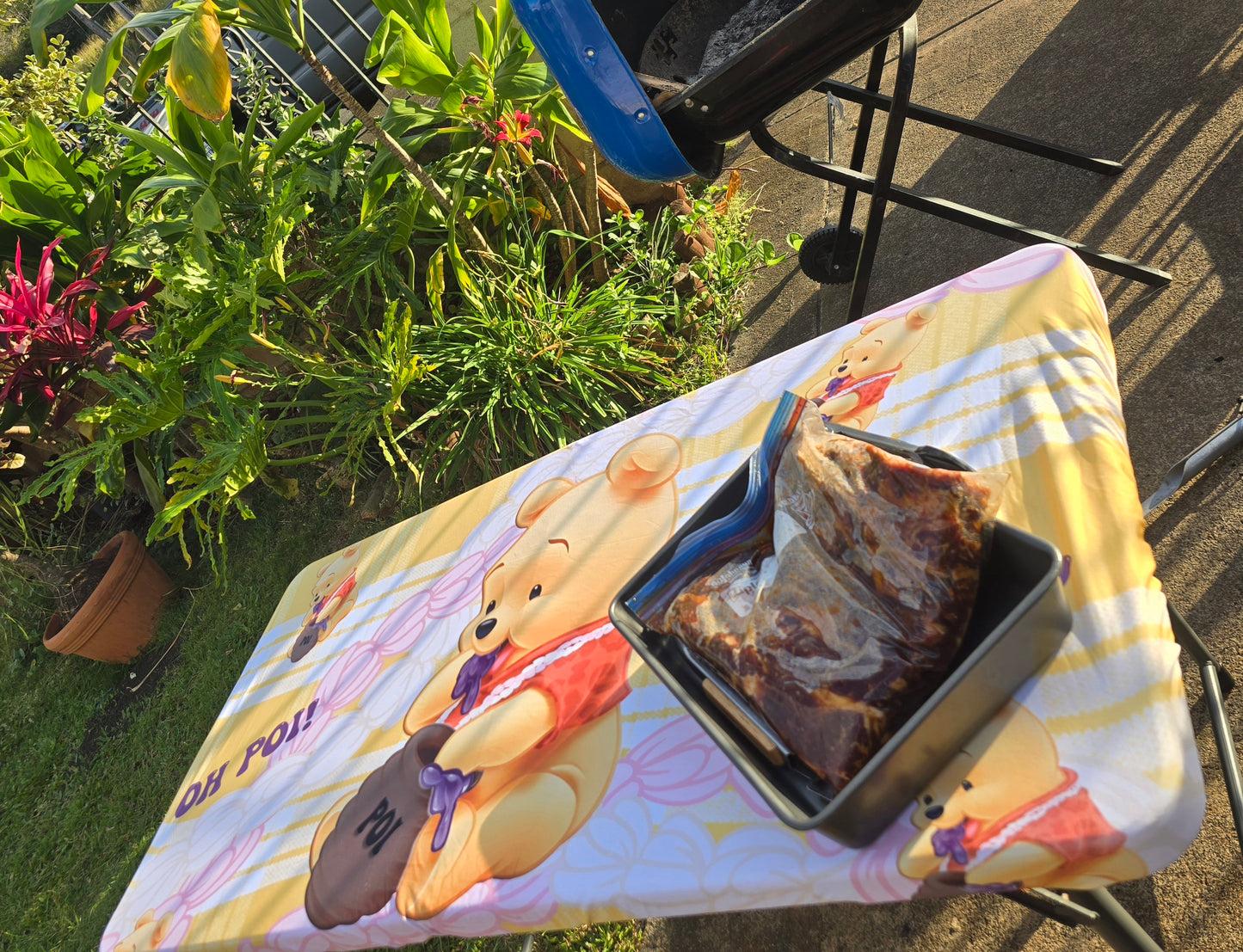 "OH POI" table cover 6 feet